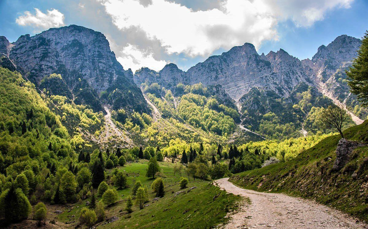 Il sentiero dei Grandi Alberi