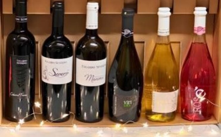 Promozione Natale Vinicola Tolardo 2026